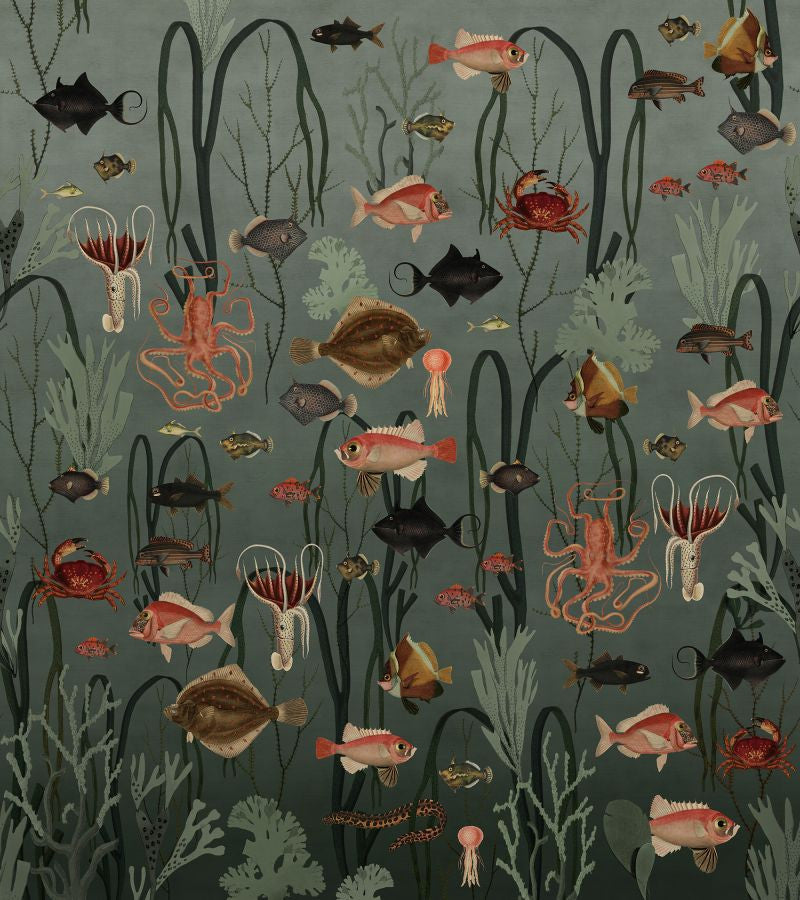 Exclusively at Designer Wallcoverings and Fabrics