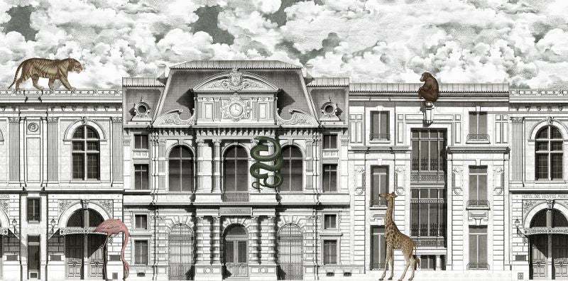 Exclusively at Designer Wallcoverings and Fabrics