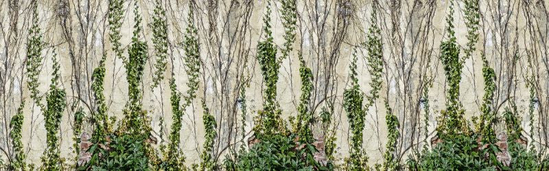 Exclusively at Designer Wallcoverings and Fabrics