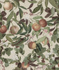Exclusively at Designer Wallcoverings and Fabrics