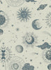 Exclusively at Designer Wallcoverings and Fabrics