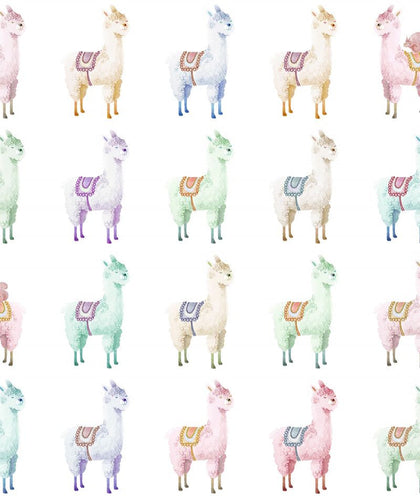 Alpaca Rebel Rainbow | Rebel Walls