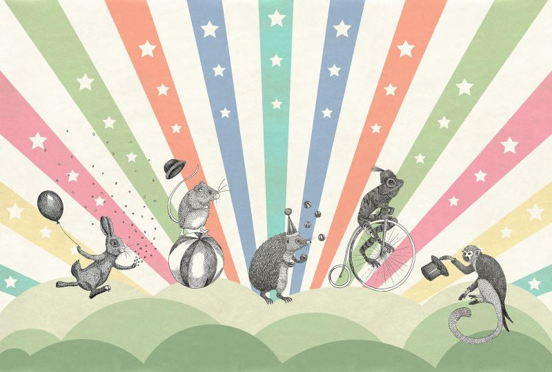 Exclusively at Designer Wallcoverings and Fabrics