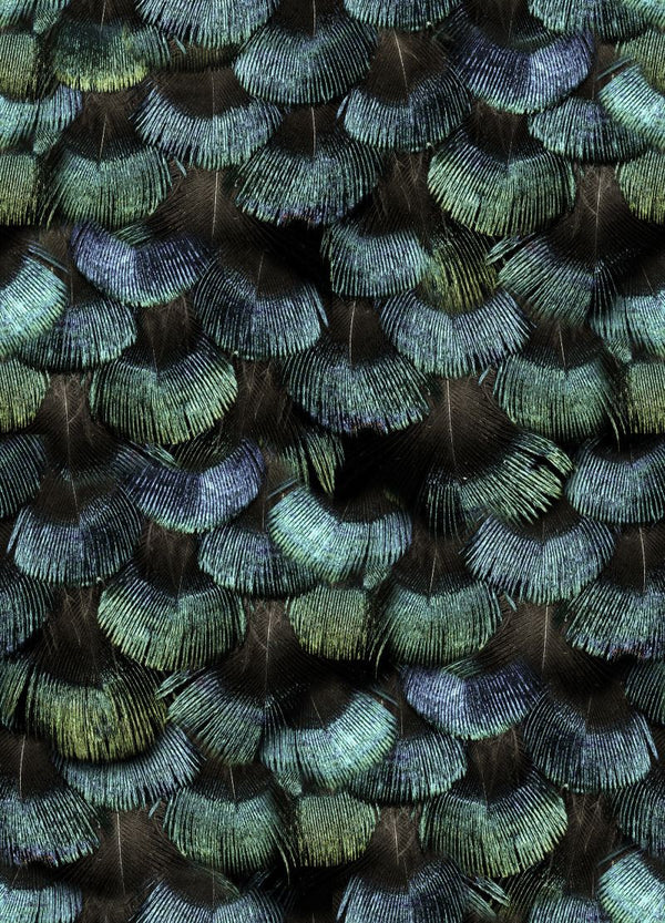 Petite Peacock Plumage, Opal | Rebel Walls