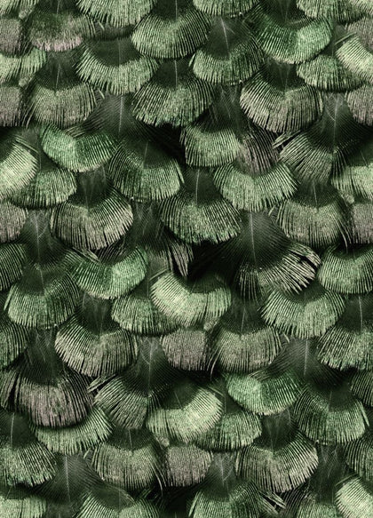 Petite Peackock Plumage, Jade | Rebel Walls