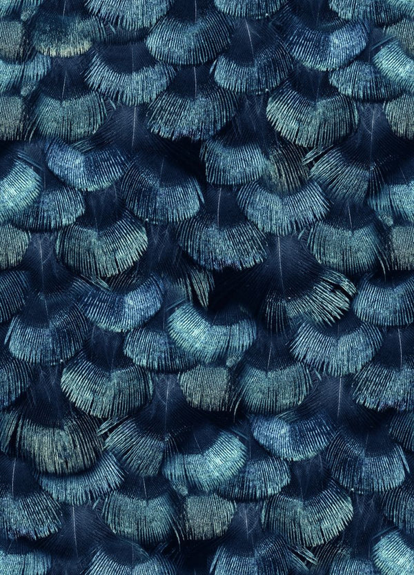 Petite Peacock Plumage, Teal | Rebel Walls