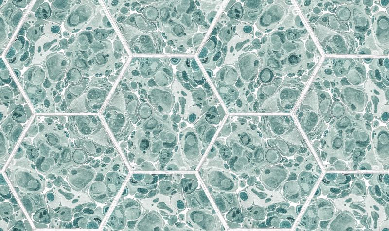 Exclusively at Designer Wallcoverings and Fabrics