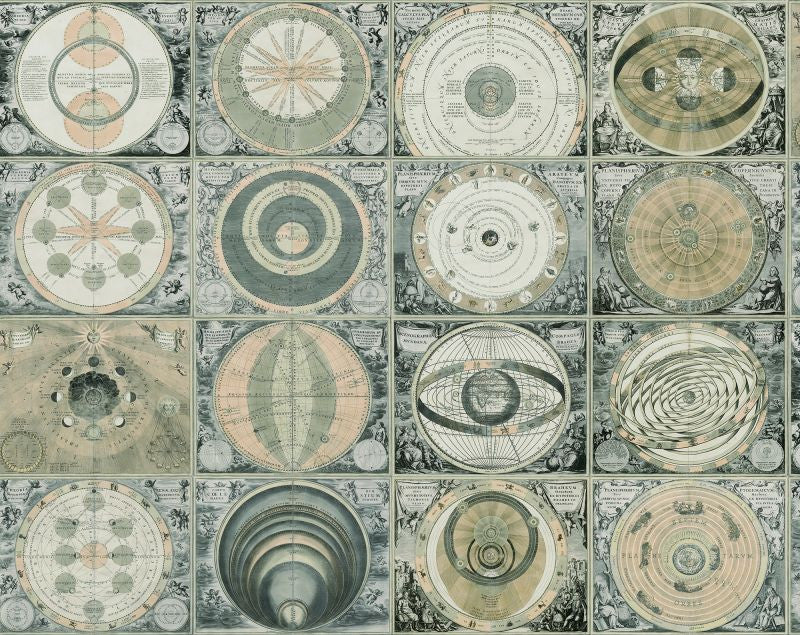 Exclusively at Designer Wallcoverings and Fabrics