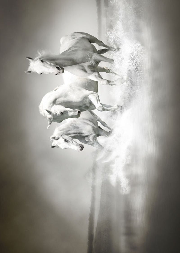 Horses | Rebel Walls