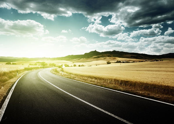 Road | Rebel Walls