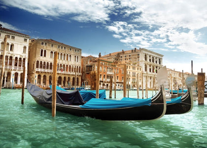 Venezia | Rebel Walls