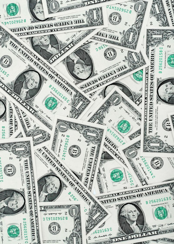 One Dollar | Rebel Walls