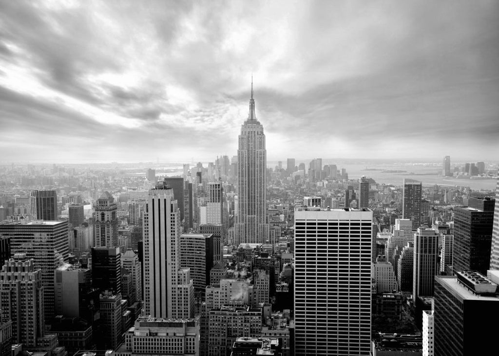 Exclusively at Designer Wallcoverings and Fabrics