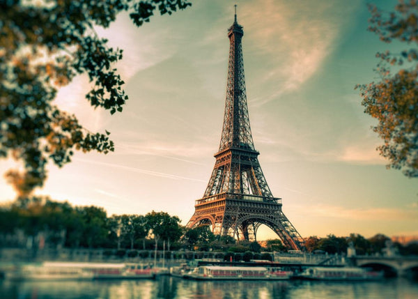 Paris | Rebel Walls