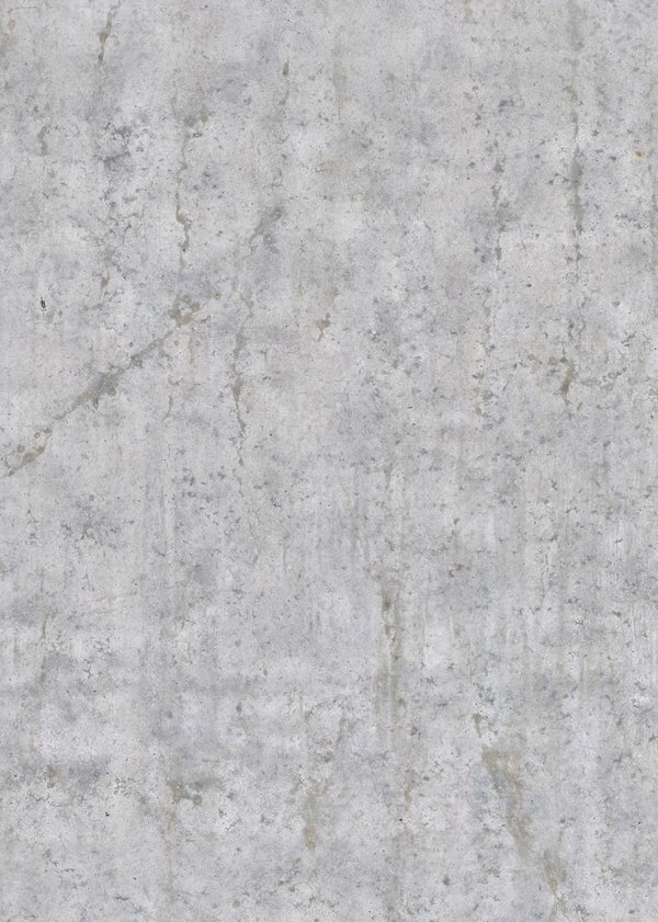 Plain Concrete, light grey | Rebel Walls