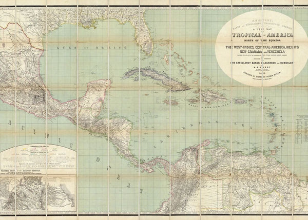 Tropical America | Rebel Walls