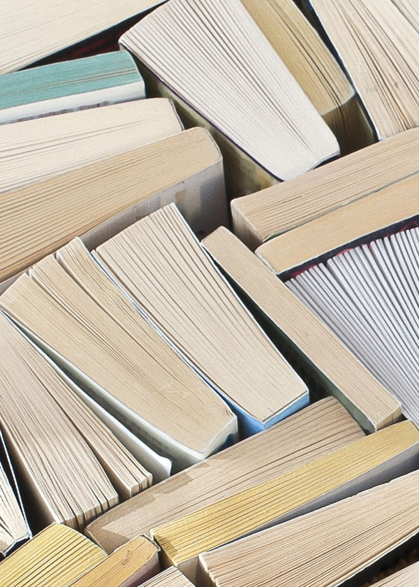 Books | Rebel Walls