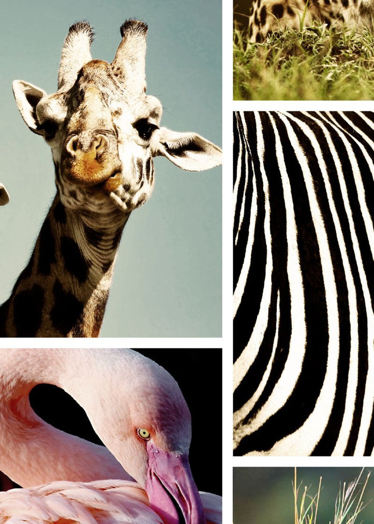 Exclusively at Designer Wallcoverings and Fabrics