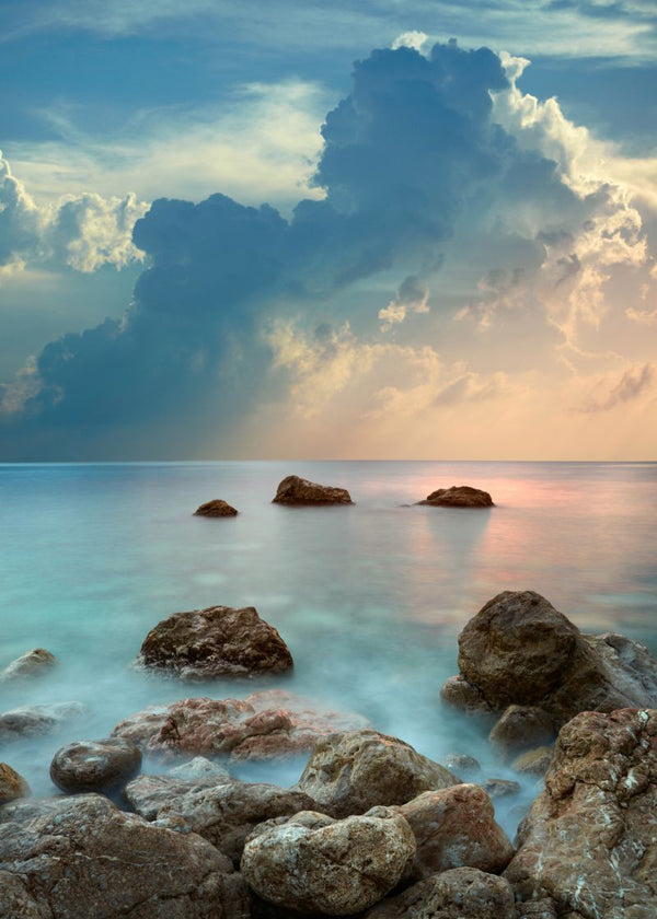 By the Sea | Rebel Walls