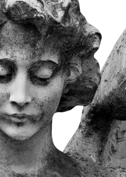 Exclusively at Designer Wallcoverings and Fabrics