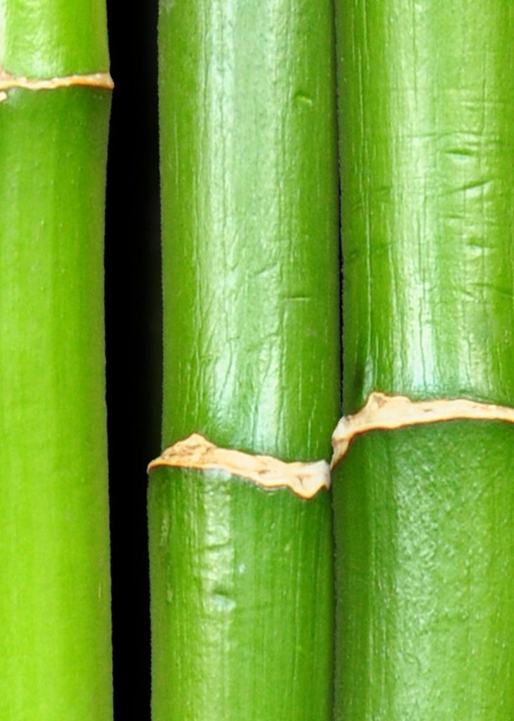 Exclusively at Designer Wallcoverings and Fabrics