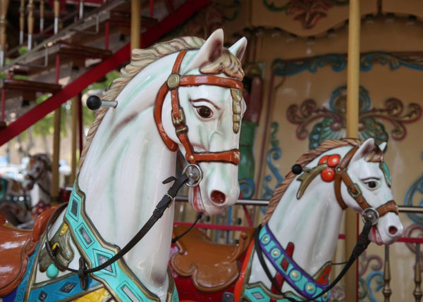 Carousel | Rebel Walls