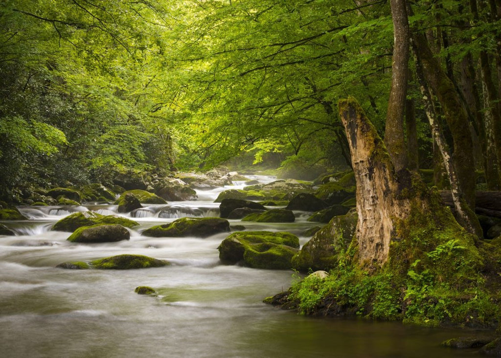 Exclusively at Designer Wallcoverings and Fabrics