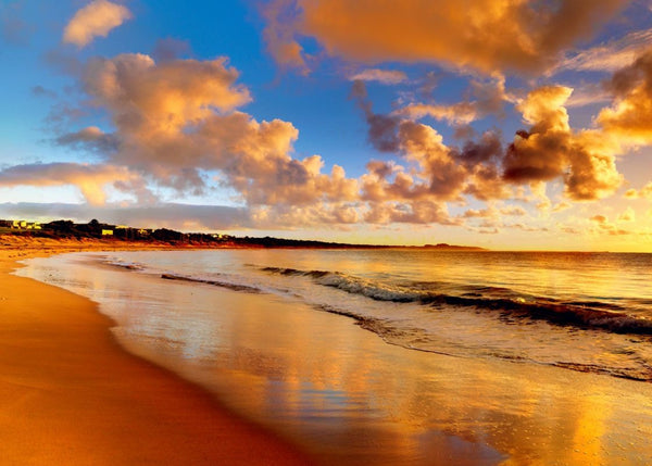 Beach | Rebel Walls