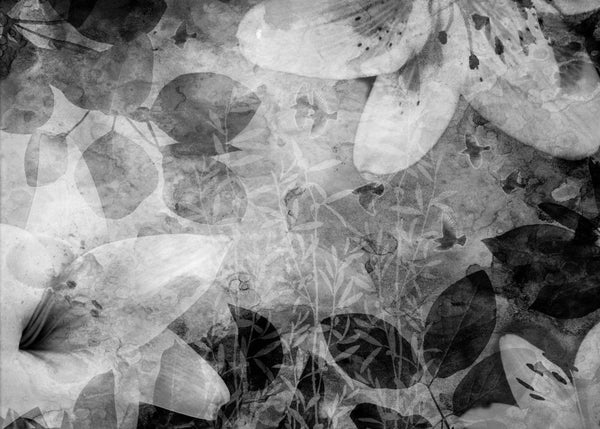 Garden of Dreams, black & white | Rebel Walls