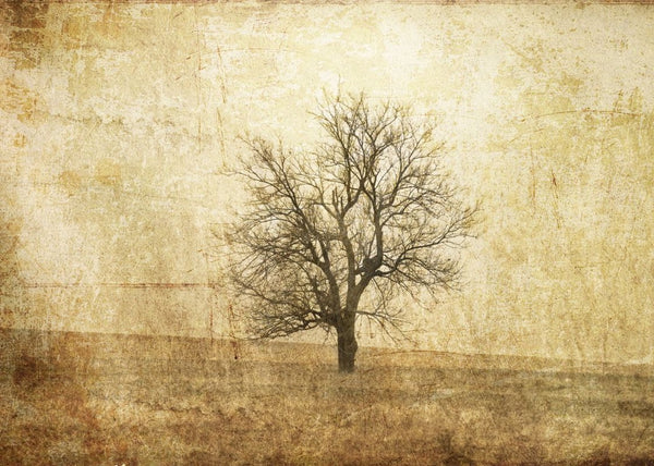 The Lonely Tree | Rebel Walls