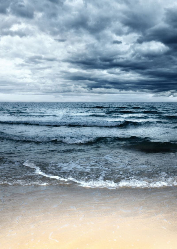 Sea | Rebel Walls