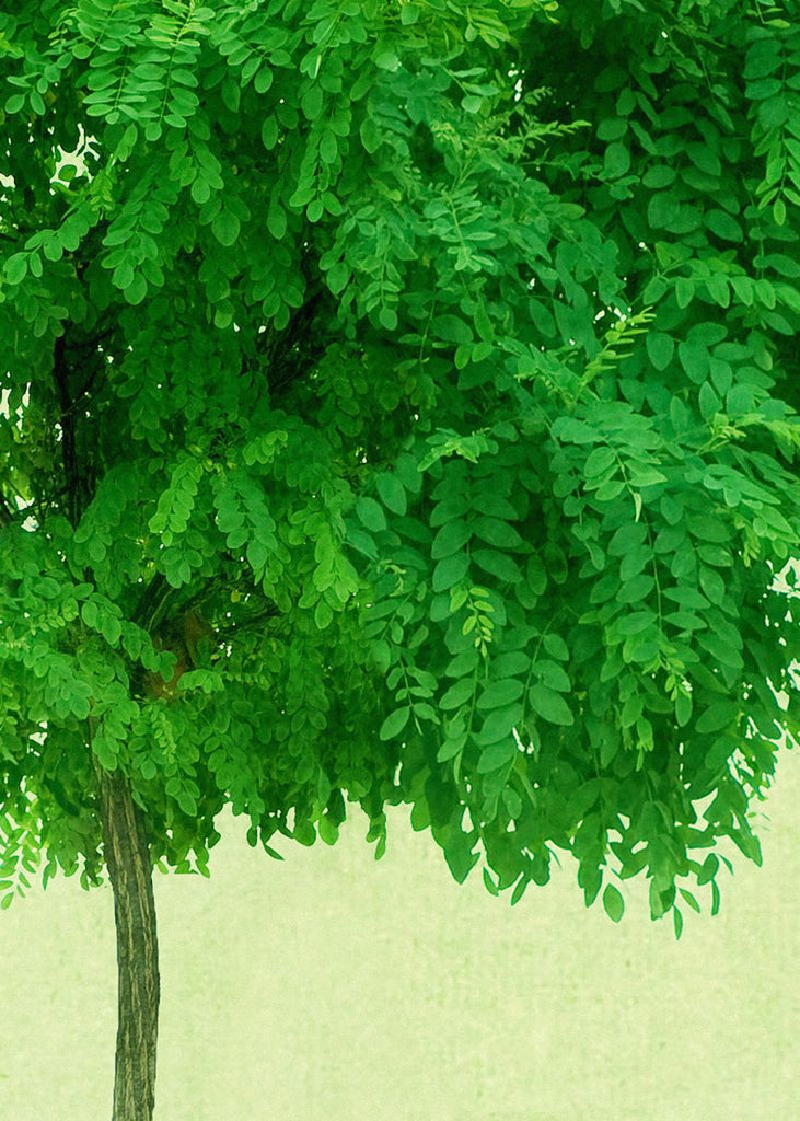 Exclusively at Designer Wallcoverings and Fabrics