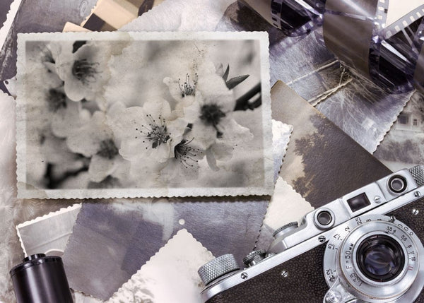 Snapshot Memories | Rebel Walls