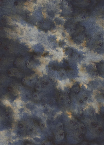 Exclusively at Designer Wallcoverings and Fabrics