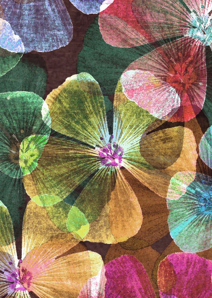 Exclusively at Designer Wallcoverings and Fabrics