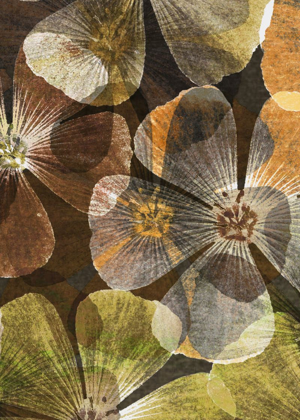 Big Bloom, amber | Rebel Walls
