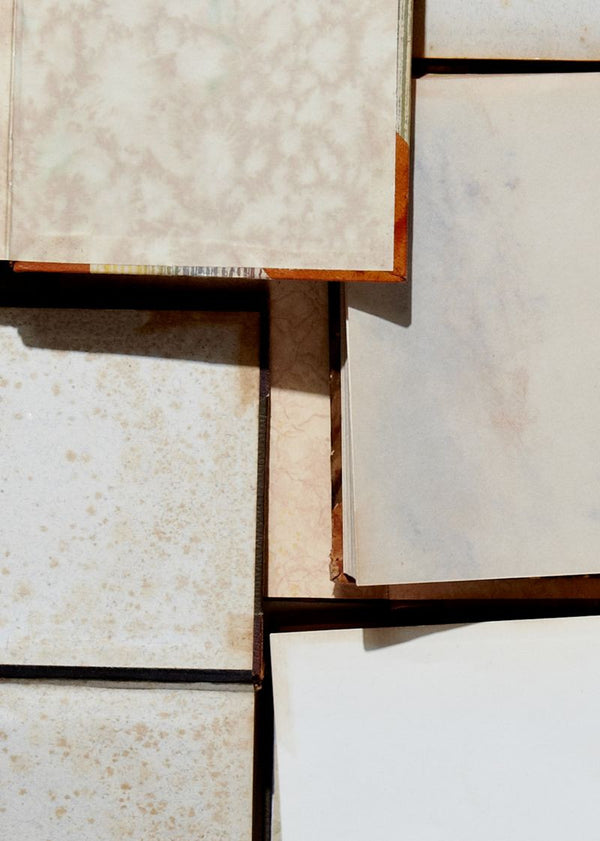 Vintage Books, inside | Rebel Walls