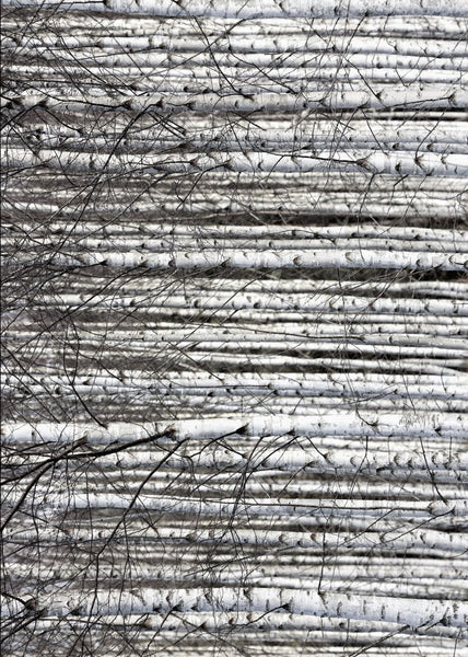 Exclusively at Designer Wallcoverings and Fabrics