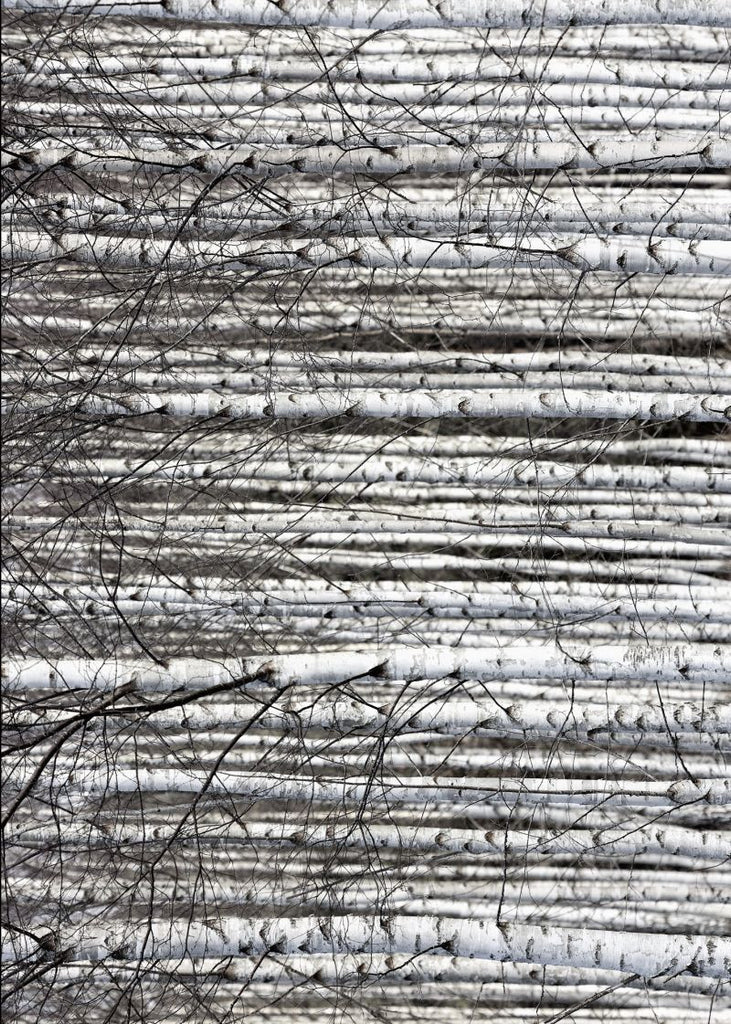 Exclusively at Designer Wallcoverings and Fabrics