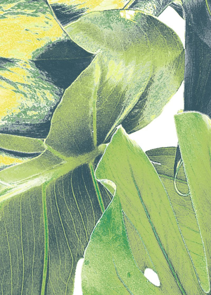 Exclusively at Designer Wallcoverings and Fabrics