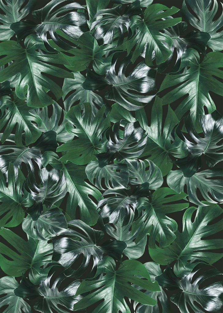 Exclusively at Designer Wallcoverings and Fabrics