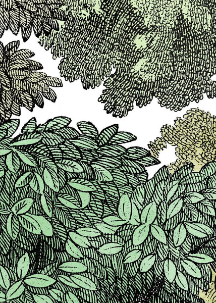 Exclusively at Designer Wallcoverings and Fabrics