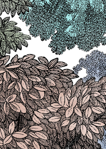 Exclusively at Designer Wallcoverings and Fabrics