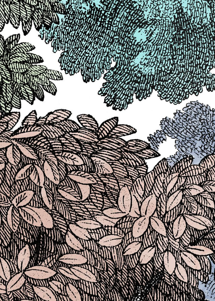 Exclusively at Designer Wallcoverings and Fabrics