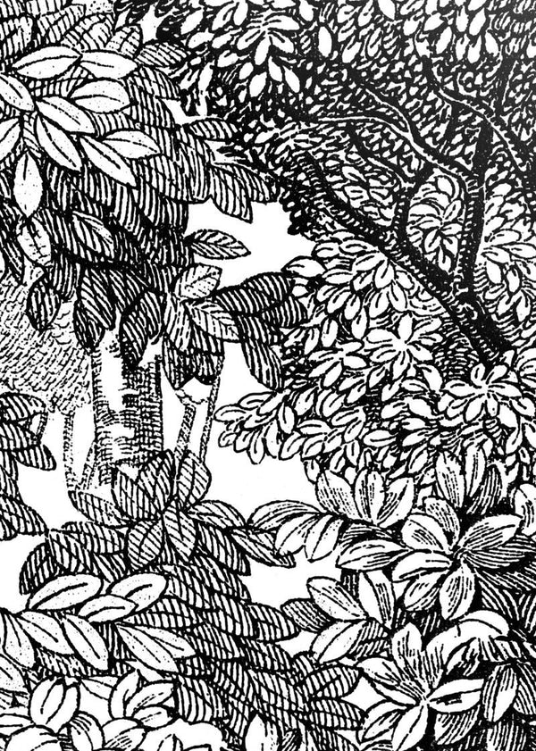 Bellewood, Black Toile | Rebel Walls