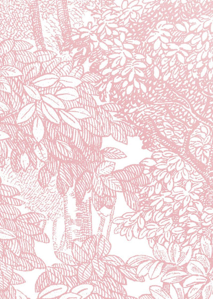 Exclusively at Designer Wallcoverings and Fabrics