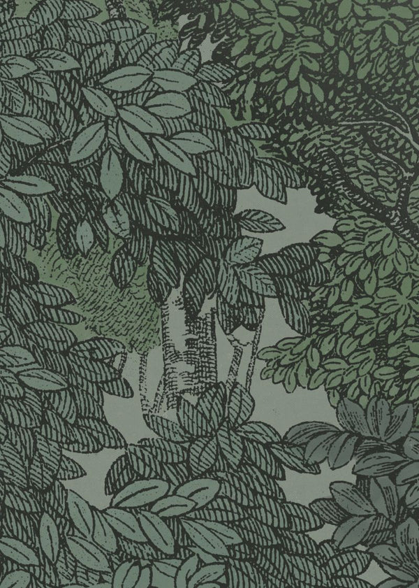 Bellewood, Solid Green | Rebel Walls