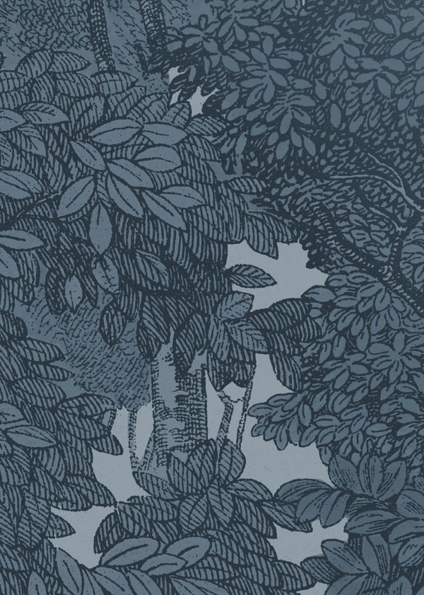 Bellewood, Solid Blue | Rebel Walls