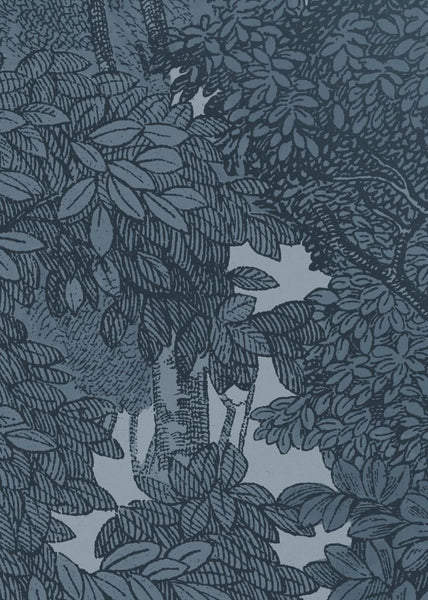 Exclusively at Designer Wallcoverings and Fabrics