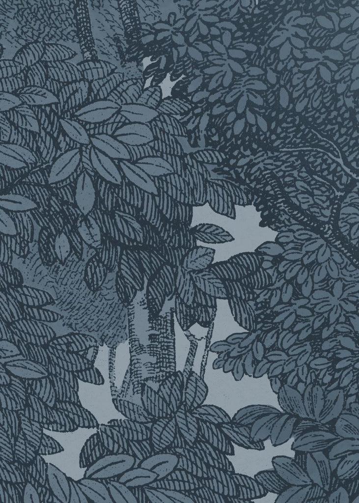 Exclusively at Designer Wallcoverings and Fabrics